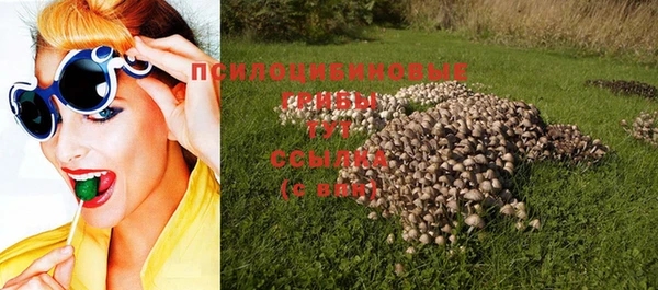 прущие крисы Белоозёрский