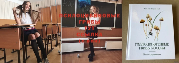 кокаин перу Богданович