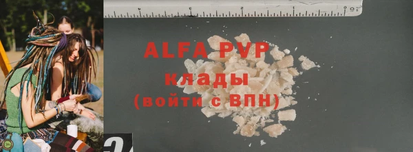 spice Богородицк