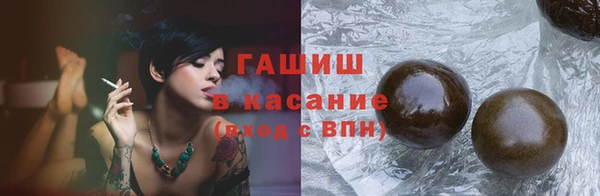 spice Богородицк