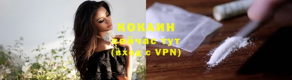 тгк Белокуриха