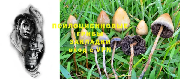 гашик Беломорск