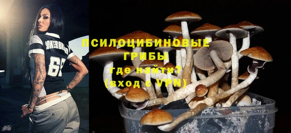 таблы Богородск