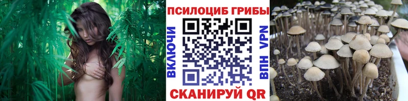 Галлюциногенные грибы MAGIC MUSHROOMS  где можно купить   Боготол 