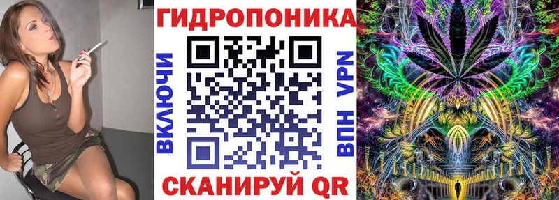 где купить наркотик  Боготол  Конопля план 